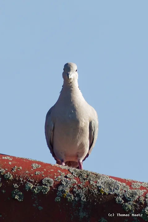 P1003844