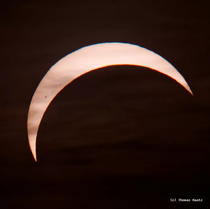 P1003352
